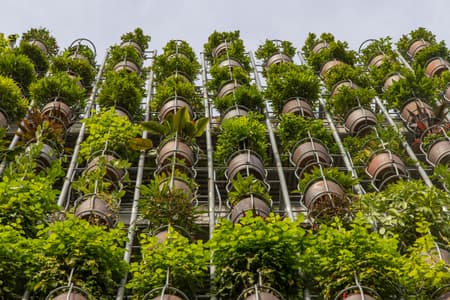 Flying Vegetation
